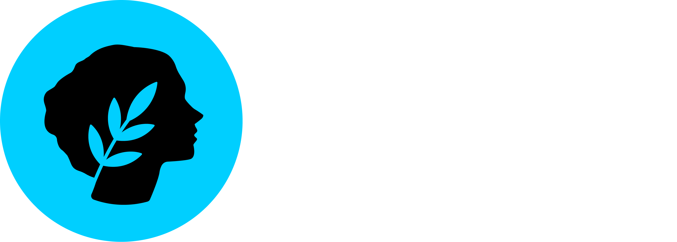 Metis Logo